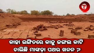 କାହା ଇଙ୍ଗିତରେ କାଜୁ ଜଙ୍ଗଲ କାଟି ଚାଲିଛି ମାଙ୍କଡ଼ା ପଥର ଖନନ || Tadanta News