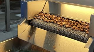 EVROSAN - BUTİK FINDIK KAVURMA ZAR SİLME MAKİNELERİ - MINI NUTS ROASTING BLANCHING DUST EXTRACTION