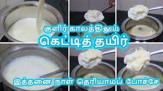 Home Made Curd Tips \u0026 Tricks | கெட்டித் தயிர் குளிர் காலத்தில் |  How to make Thick Curd at Home