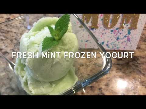 Fresh Mint Frozen Yogurt Recipe