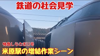 【鉄道の社会見学】特急しらさぎ11号の米原駅での増結作業ウォッチング