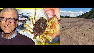 RIO GRANDE DRIED UP? ECOLOGICAL CATASTROPHE UNDERWAY! ARE YOU FED UP YET & READY FOR REAL CHANGE?