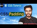 #11 Padding in CSS | Mastering Shorthand Padding Property | CSS Tutorial