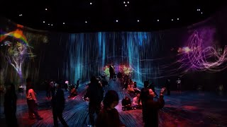 teamLab Borderless (Tokyo)