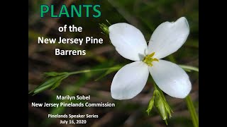 Marilyn Sobel - Plants of the New Jersey Pine Barrens