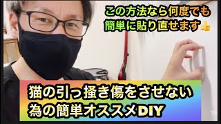 【ネコ】簡単オススメ引っ掻き傷対策