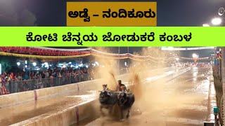 ಅಡಿವೆ_ನಂದಿಕೂರು ಕೊಟಿ-ಚನ್ನಯ ಜೋಡುಕರೆ ಕಂಬಳ | koti-channaya jodukare kambala