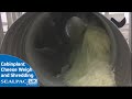 Shredding Cheese Weighing and Bagging | Cabinplant Vibratory Feed Multihead Weigher