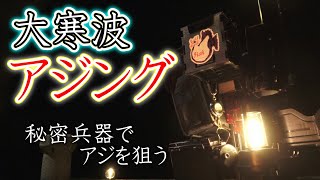 【アジング】2月、大寒波の日にアジを狙う