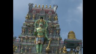 🔴நேரலை… அருள்வளர் ஸ்ரீ சுந்தர ஆஞ்சநேயர் இலட்ச்சார்ச்சனை பெருவிழா - 2024