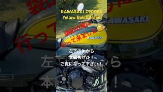 カワサキ Z900RS イエローボールエディション『袋田の滝‼️』😊👍 2024年11月13日 #yellowballedition #shorts