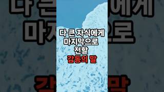 다 큰 자식에게 마지막으로 전할 감동의 말