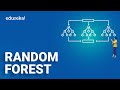 Random Forest Algorithm | Random Forest Complete Explanation | Data Science Training | Edureka