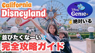 カリフォルニアディズニーリゾートの上手な回り方【子連れロサンゼルス観光 旅行】