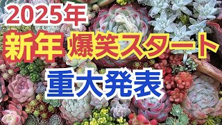 【多肉植物】【新年】2025年新年‼️爆笑スタート‼️重大発表‼️2025年1月1日