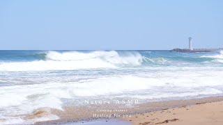 Bright Sunshine on the East Sea, the Sound of Waves Crashing White ASMR 🌊Natural Sounds for Insomnia