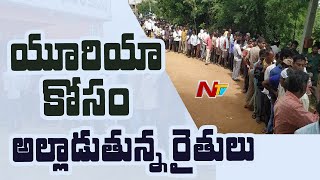 యూరియా కోసం అల్లాడుతున్న రైతులు ! Urea Shortage In Karimnagar | NTV