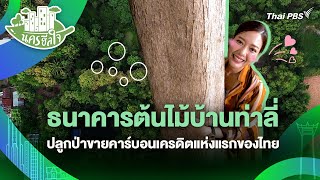 ธนาคารต้นไม้บ้านท่าลี่ปลูกป่าขายคาร์บอนเครดิตแห่งแรกของไทย | นครฮีลใจ