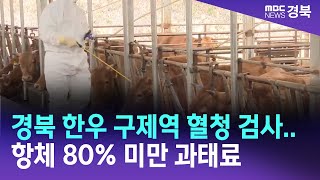 경북 한우 구제역 혈청 검사.. 항체 80% 미만 과태료 / 안동MBC