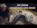 MAG-ASAWANG DAMBUHALANG SAWA