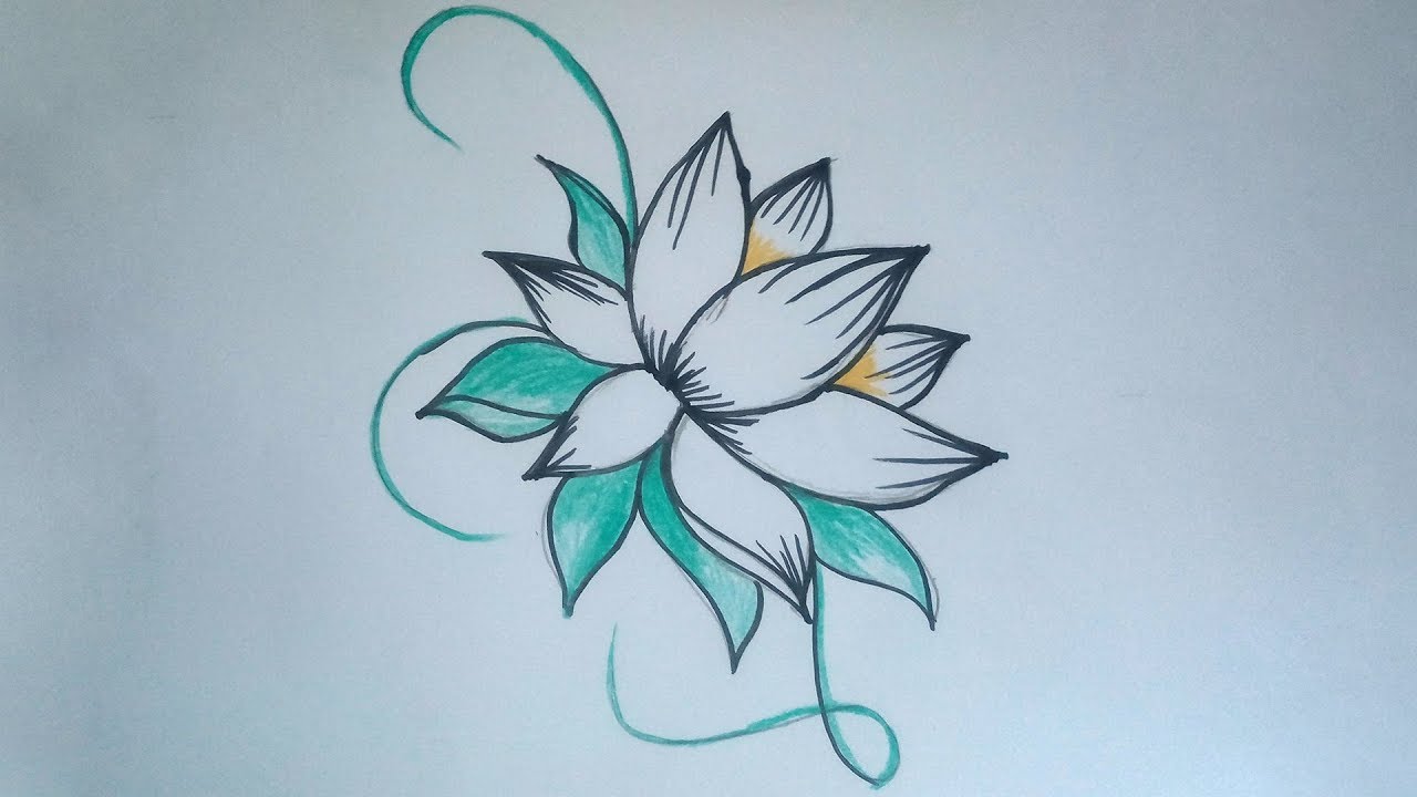 Beautiful Flowers Drawing Step By Step