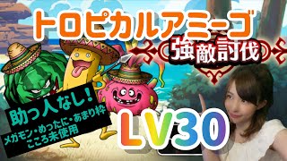 【DQW】無凸の武器で大丈夫！SP配布のみ、トロピカルアミーゴLV30攻略