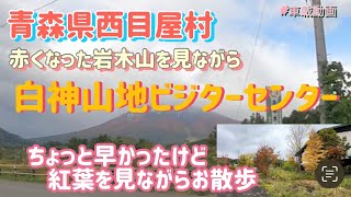 白神山地ビジターセンターの周りを散歩　青森県西目屋村