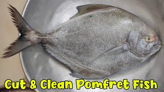 Cut \u0026 Clean Black Pomfret Fish | Pomfret Curry Cut