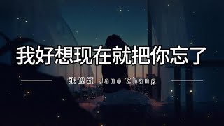 張靚穎 Jane Zhang - 我好想現在就把你忘了 Wo Hao Xiang Xian Zai Jiu Ba Ni Wang Le 拼音歌词/Pinyin Lyrics Video