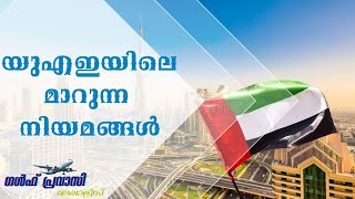 Important Updates New Rules In The UAE യുഎഇ യിലെ മാറുന്ന നിയമങ്ങൾ