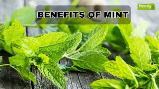 Mint Leaves Give You a Health Boost You Never Knew!