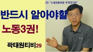 곽태원티비29[노동이야기]\