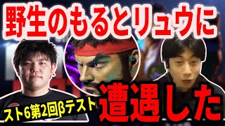 【スト6】前回βテストで無双していたと噂のもるとリュウに遭遇した【ハイタニ】【SF6 ストⅥ】 【ストリートファイター6】