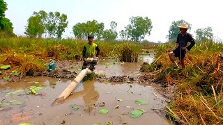 สูบปลาจับปลามุดโคลน จับได้จับเอา