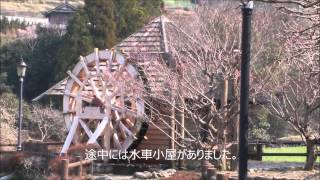 徳島 神山町 農村ふれあい公園