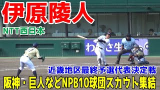 【阪神ドラフト1位指名】NTT西日本 伊原陵人 2024年ドラフト上位候補と噂されるプロ大注目の左腕  全投球ハイライト2024/9/18 三菱重工West戦【現地映像】代表決定戦