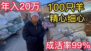 内蒙养殖户无私分享养羊经验，100只羊年赚20万，没睡过一个好觉