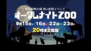 オータムナイトＺＯＯ　あにまるナイトガイド　東武動物公園