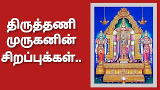 திருப்பங்கள் தரும் திருத்தணி முருகன்| சுப்ரமணிய சுவாமி|Tirutani Sri Subramaniya swamy| Murugan|