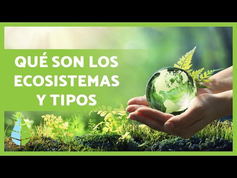 Tipos De Ecosistemas En El Mundo • TIPOSDE