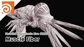 Houdini Algorithmic Live #082 - Muscle Fiber