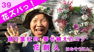 踊り葉牡丹 寄せ植えのコツ【花ズバっ】39旬の花とその使いかた紹介/花創人ガーデニング教室