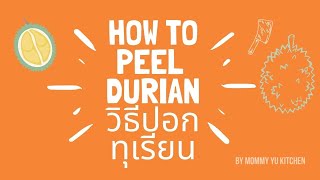 How to ปอกทุเรียน วิธีปอกทุเรียนเองง่ายๆที่บ้าน ไม่ยากอย่างที่คิด | How to peel Durian