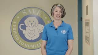 The homeless pets in the shelter at SAVE need YOU!