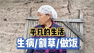 山区回族看奶奶生着病还硬要干活，女儿想给熬鸡汤说家里来客人吃