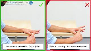 Finger MCP joint static extension strength L