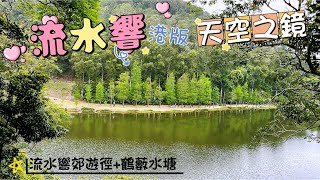 [小朋友×山系遊] 流水響水塘. 流水響郊遊徑.鶴藪水塘