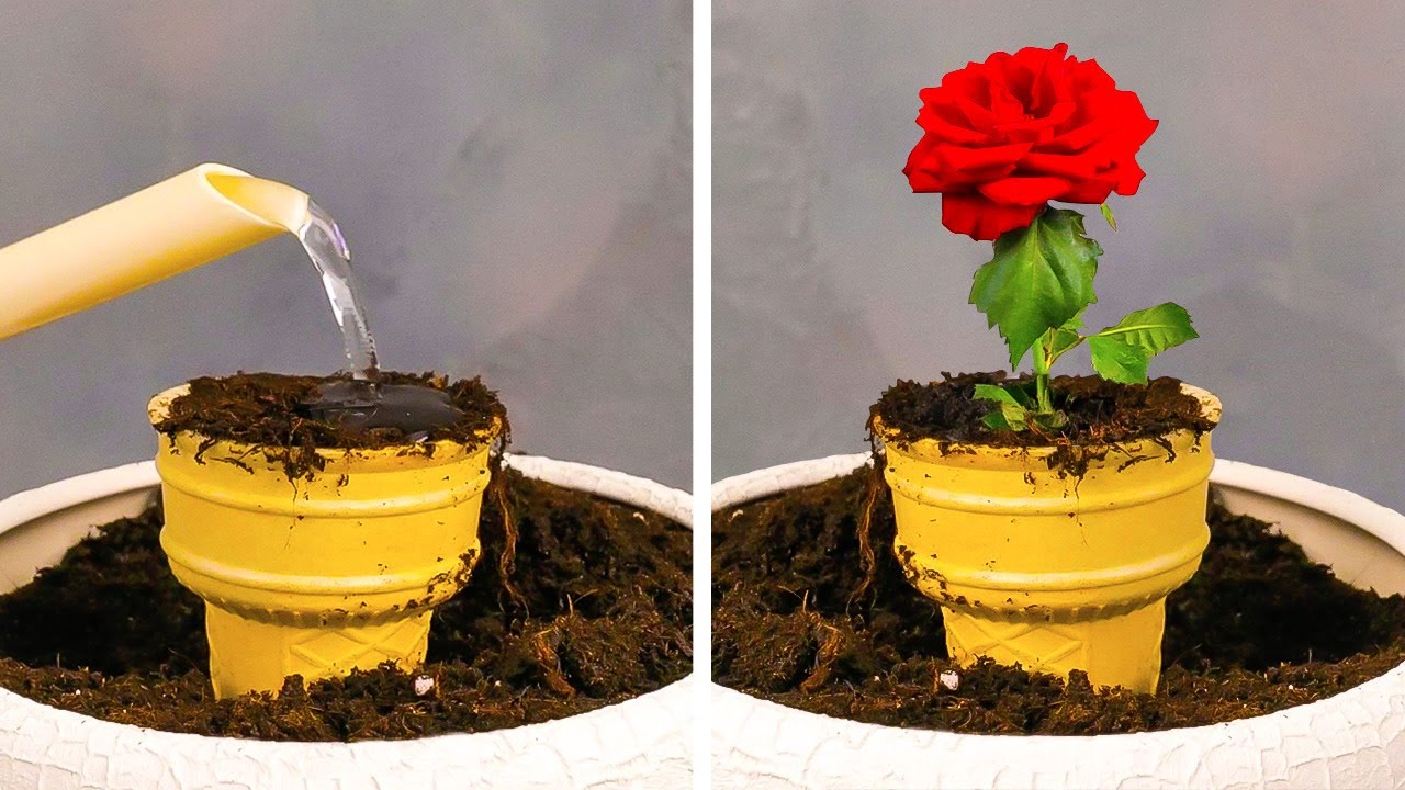 Smart Growing Plant Hacks For Your Inner Gardener Youtube