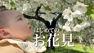 【お花見】はじめて桜を見る赤ちゃん【生後5ヶ月】