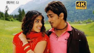 Bommani Geesthe || Bommarillu || Telugu Movie 4K Video Song HD 5.1 Audio